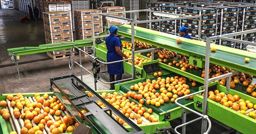 Agri-Food Industries