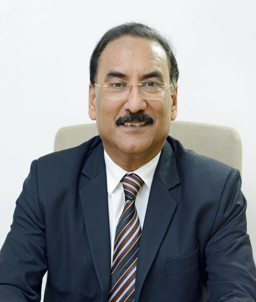Dilip Gaur, CEO de Grasim Industries 