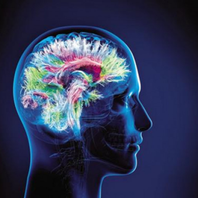 IA et cerveau Humain